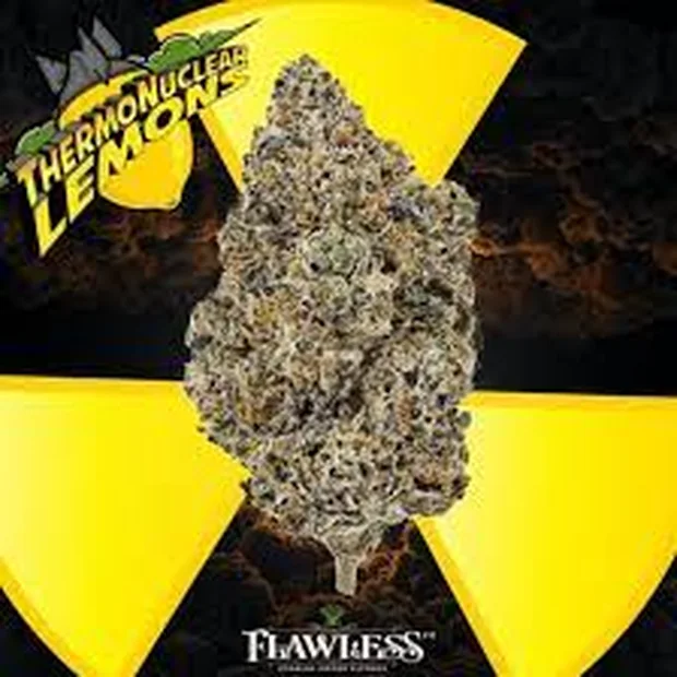 Thermonuclear Lemons