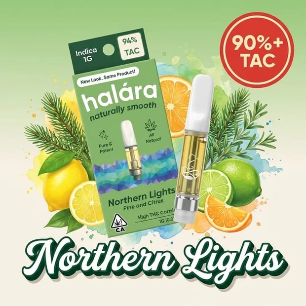 Northern Lights