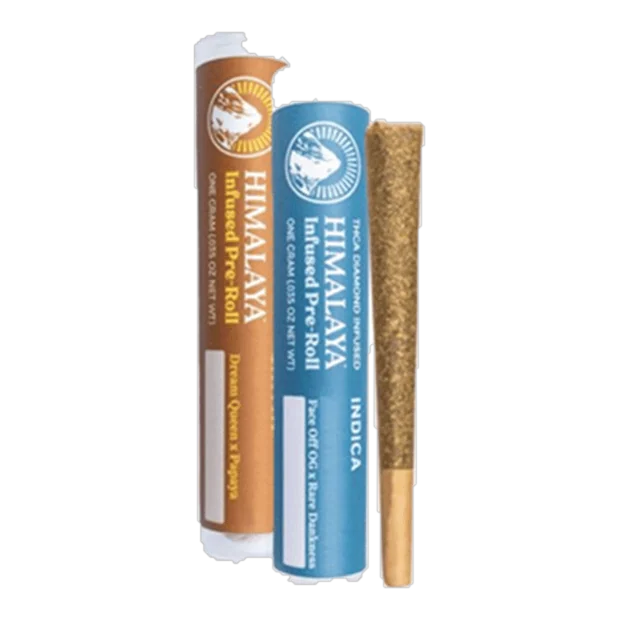 Ice Cream Cake [1g]