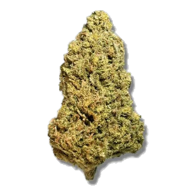 Black - Blueberry Express