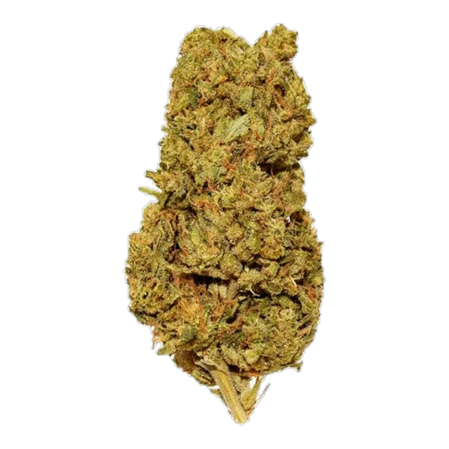 BLACK - Galactic Cookies