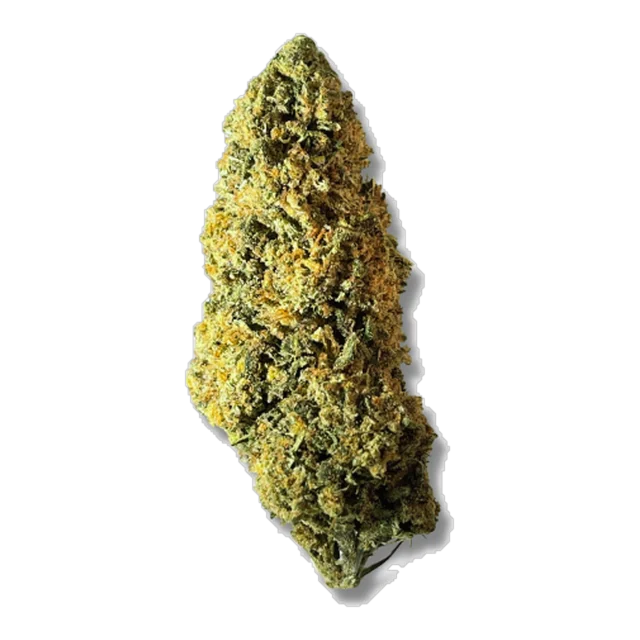 Black - Gelato Skittlez