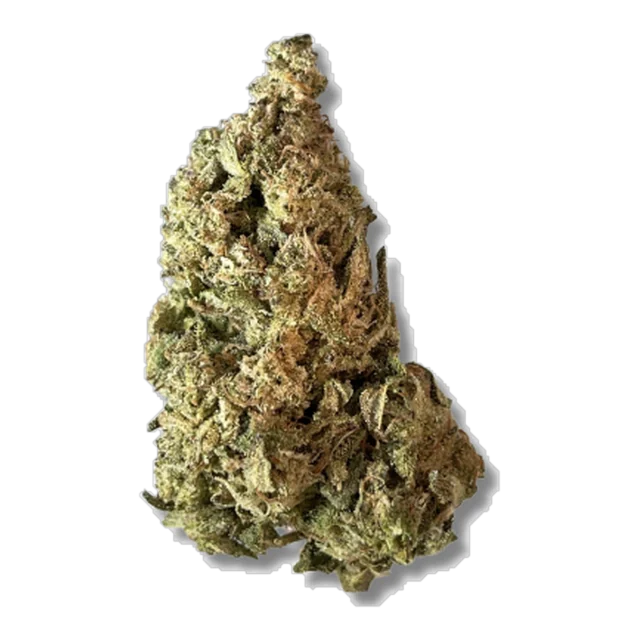 Black - GMO
