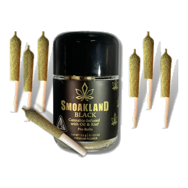 BLACK - Infused Pre-Rolls - Thin Mintz (H) 7pk