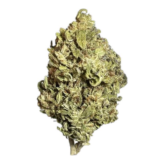 Black - Jelly Rancher