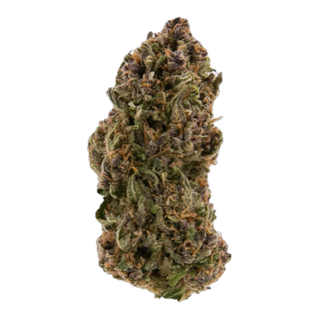 BLACK - L.A. Gas