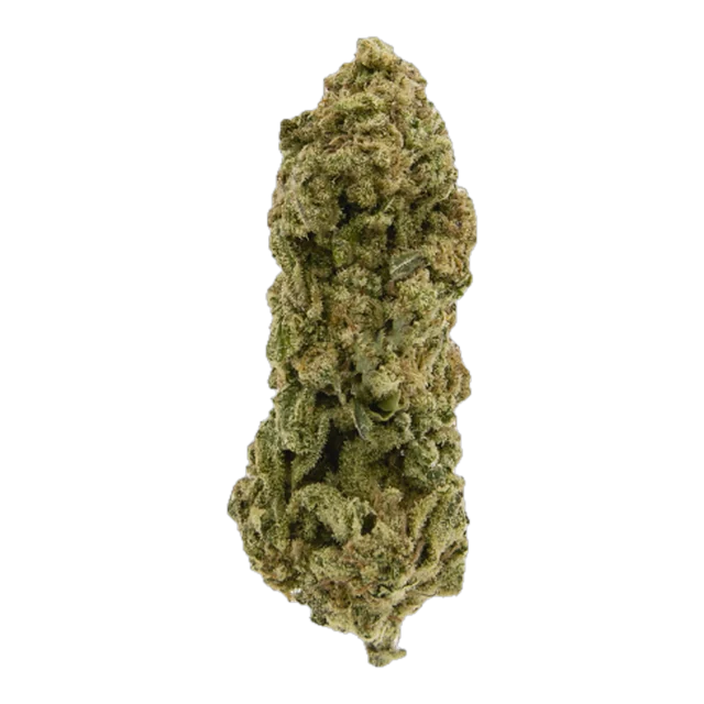 BLACK - Mac 1