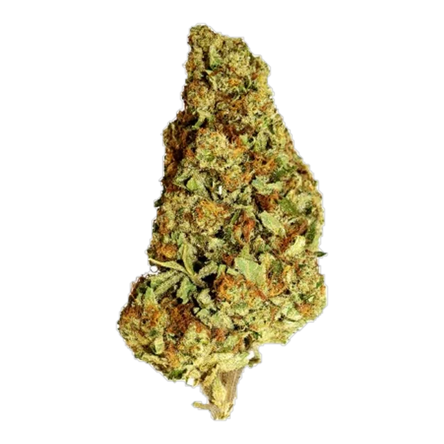 BLACK - Purple Punch