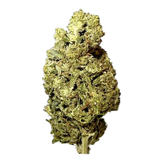 Black - Royal Cookies