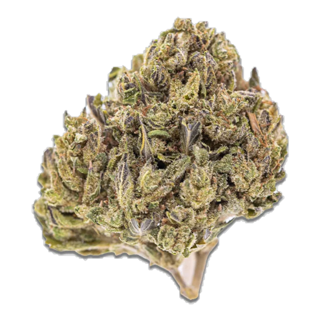 BLACK - Snoop Dogg OG