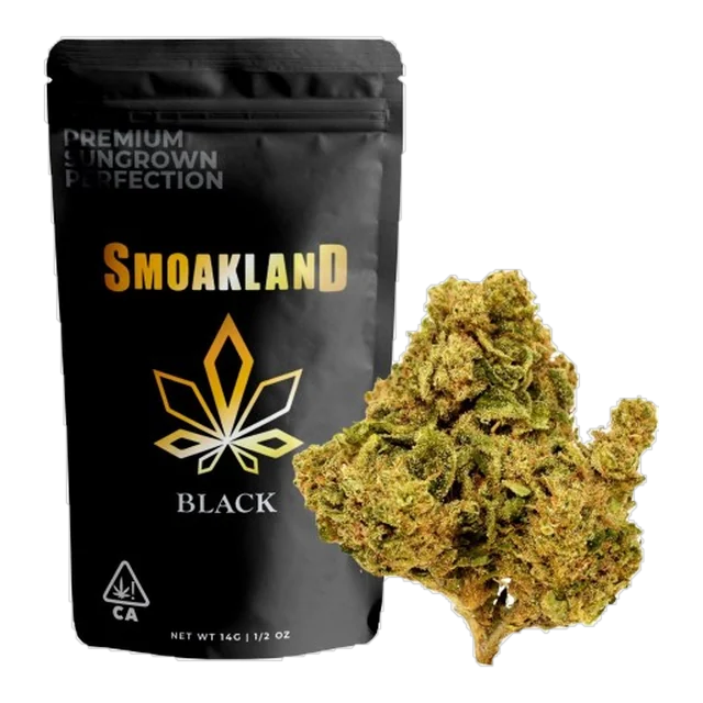 Black - Town Berries