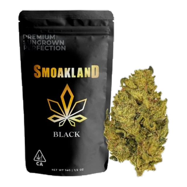 Blackberry Punch (I) - 14g Black