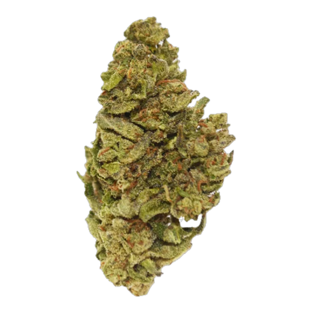 Exclusive - Black Mamba