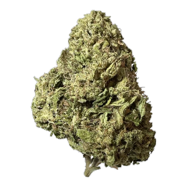 Exclusive - Durban Poison