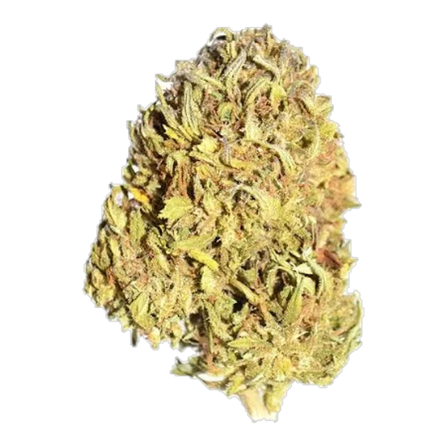 Exclusive - Ghost Train Haze