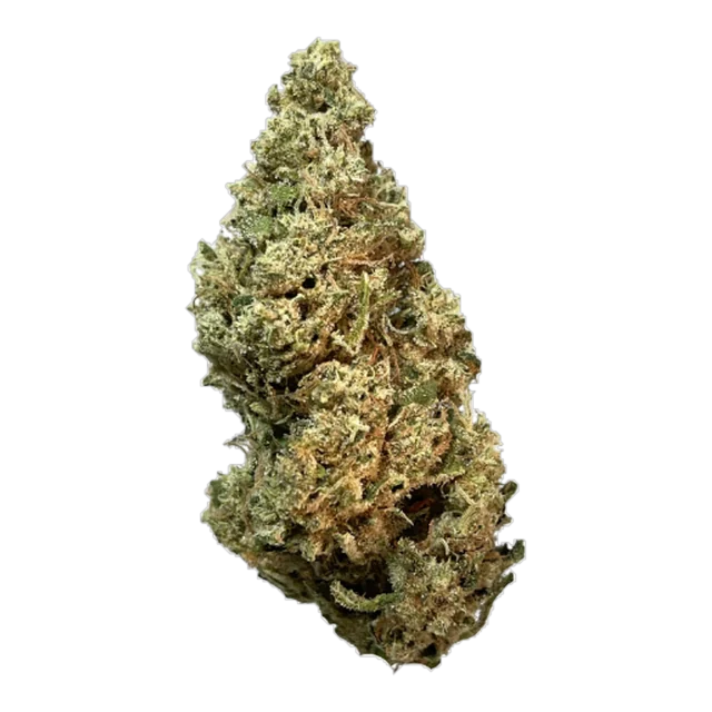 Exclusive - Jack The Ripper