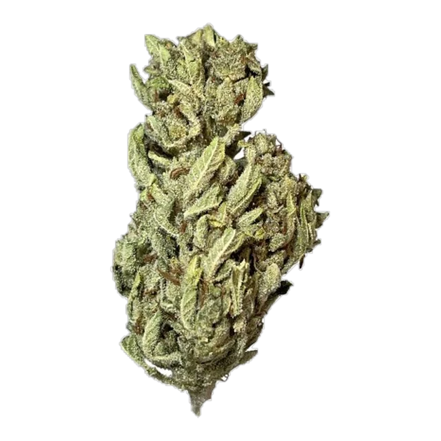Exclusive - Sunset Sherbet