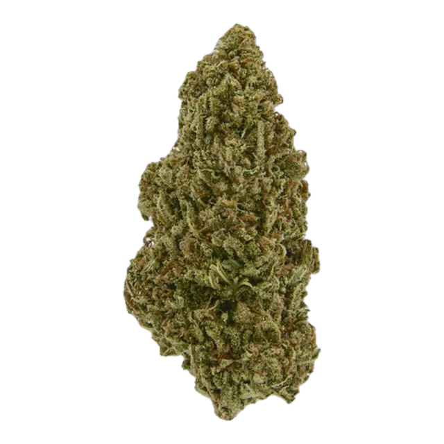 Exotix - Blue Dynamite