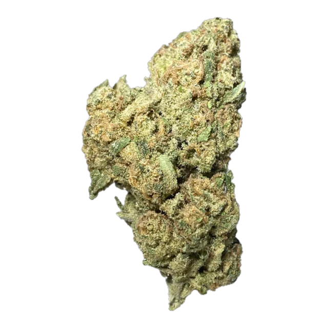 Exotix - Blueberry (S/H)