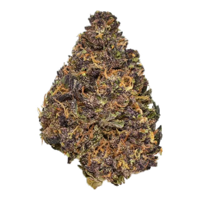 Exotix - Garlic Budder