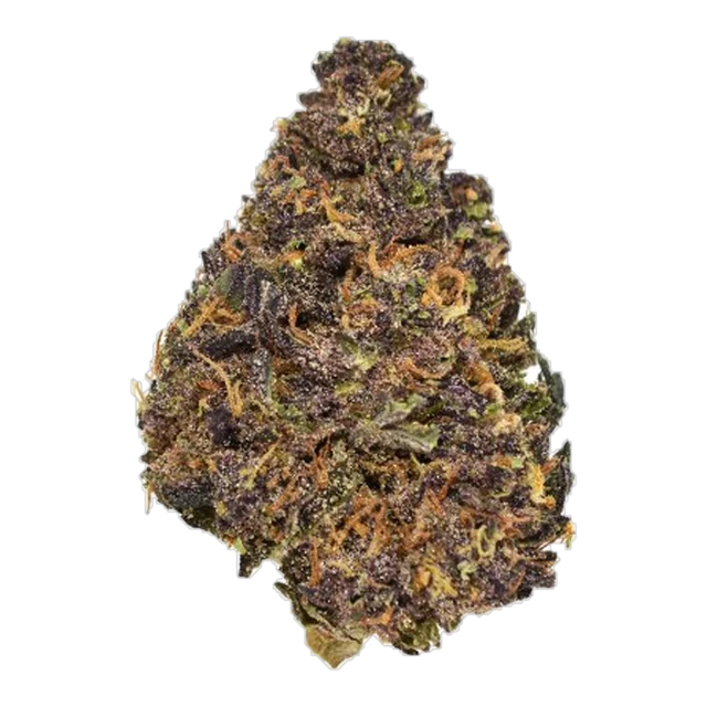 Exotix - Garlic Butter