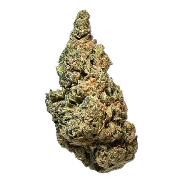 Exotix - Laughing Buddha