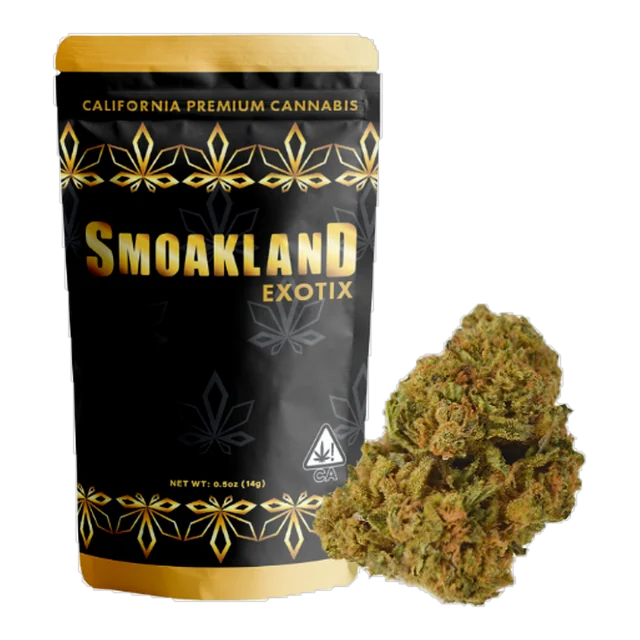 Exotix - Pumpkin Pie
