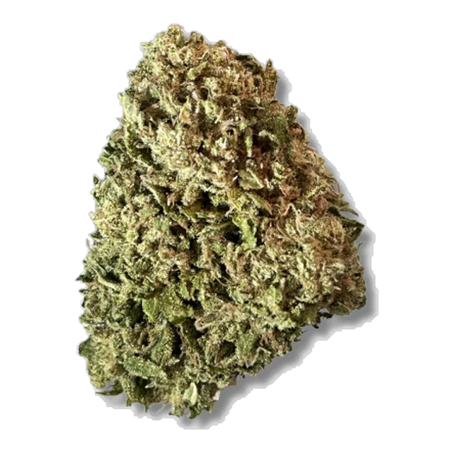 Exotix - Vanilla Custard