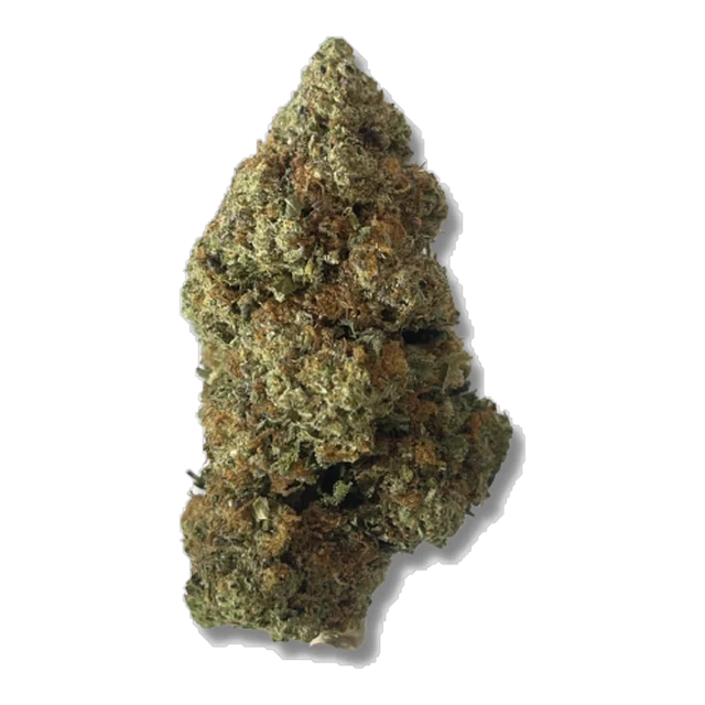 Exotix - White Gushers