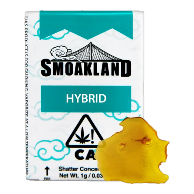 Lemon Cherry Gelato (H) - 1g Shatterz