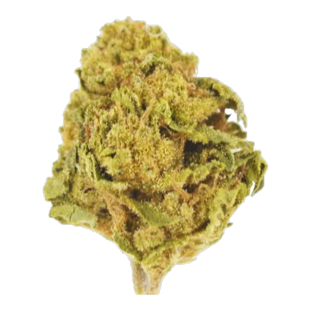 Lucy's - Berry Pie