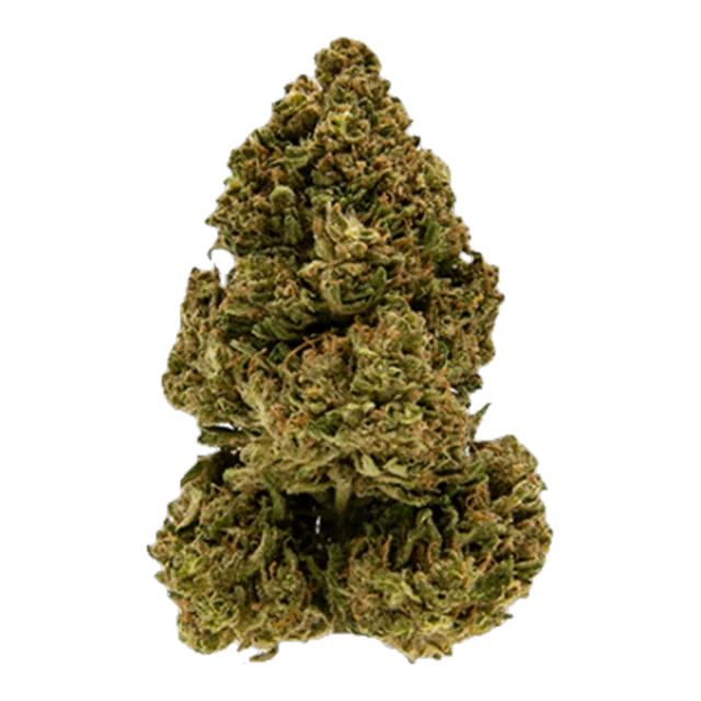 Signature - Blue Dynamite