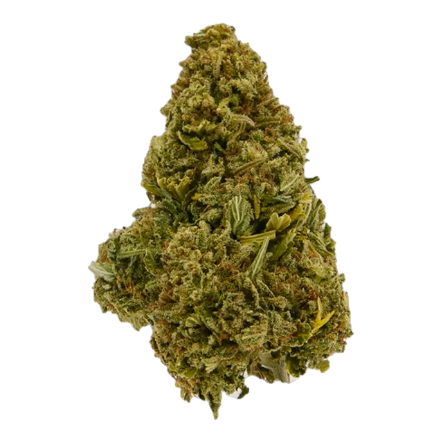 Signature - GDP