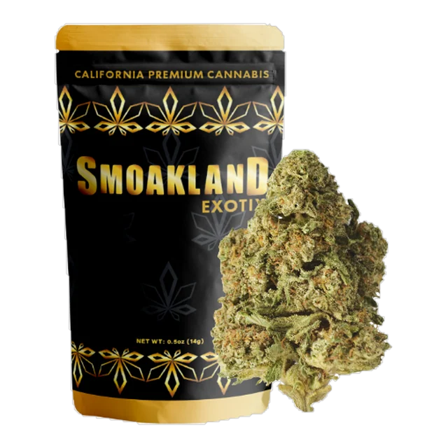 Space Monkey (H) - 14g Exotix