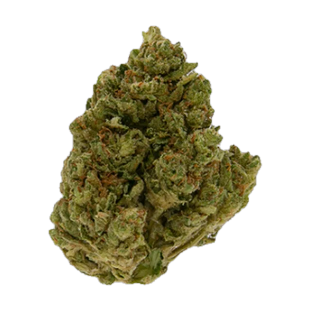 Xclusive - Rainbow Sherbet