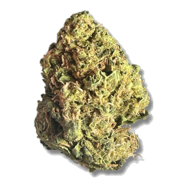Xclusivez - Blueberry Space Cake (CBD-Rich)