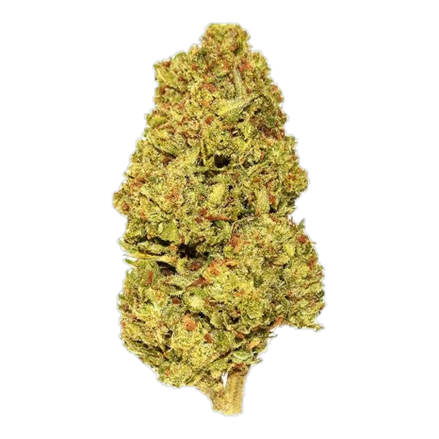 Xclusivez - Key Lime Pie