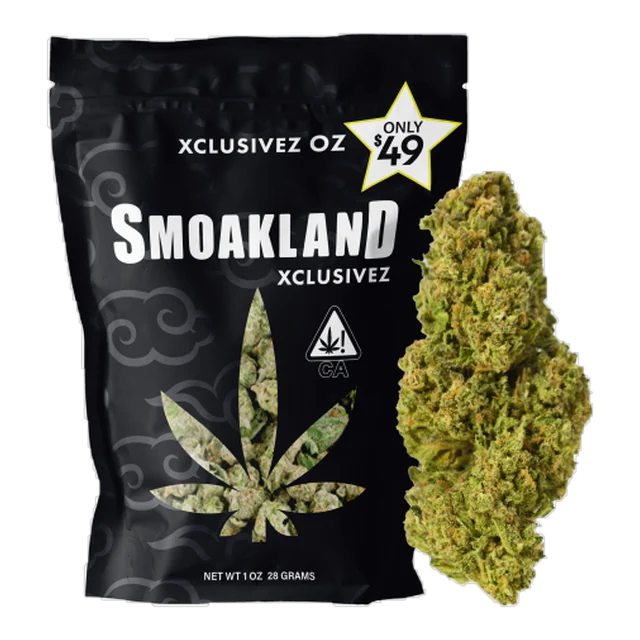 Xclusivez - Mendo Breath