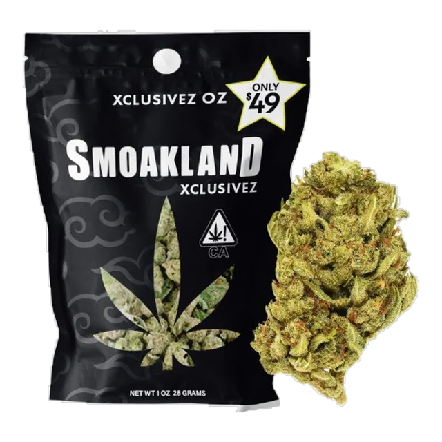 Xclusivez - Zombie OG